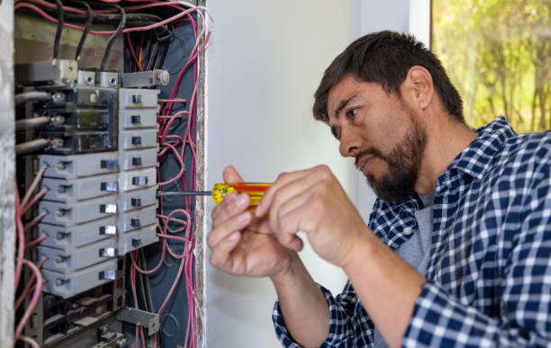 Best Electrical Panel Upgrades  in Mammoth Lakes, CA